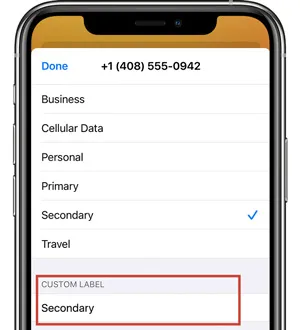 dual sim iPhone