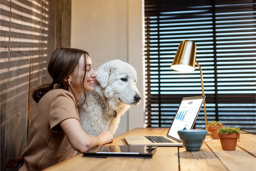 Harnessing flexible work technology: a key strategy to talent attraction